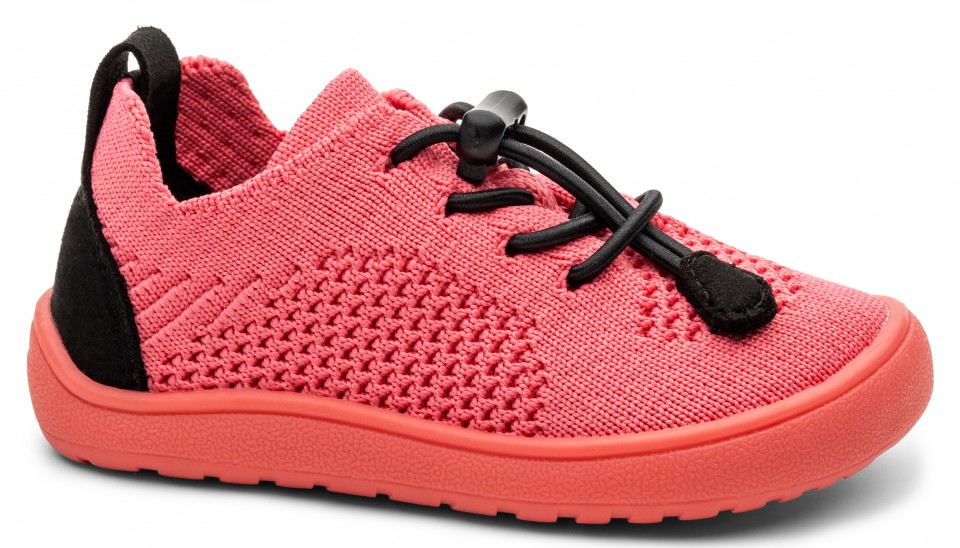 GAEL KORAL veľké_1